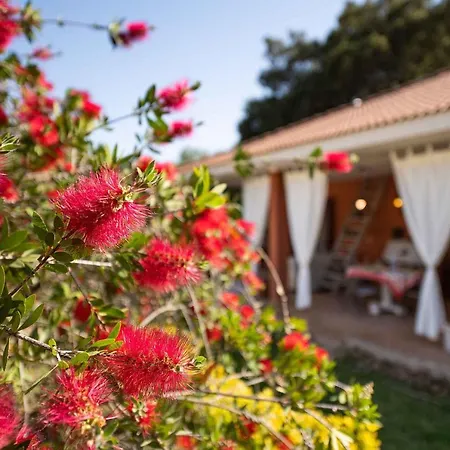 Holiday In 41435 Casa vacanze
